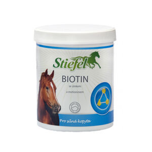 STIEFEL Biotin prášek 1 kg