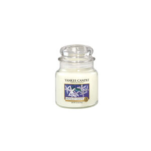 YANKEE CANDLE Midnight jasmine aromatická svíčka střední 411 gramů