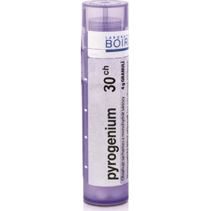 BOIRON Pyrogenium CH30 4g