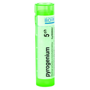 BOIRON Pyrogenium CH5 4 g