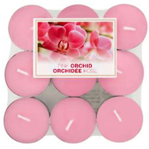BOLSIUS Čajové svíčky Pink Orchid 18 ks