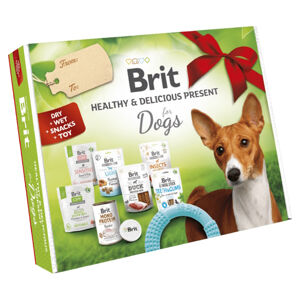 BRIT Care Box Dog Healthy&Delicious dárkový box pro psy 2023