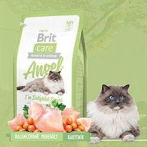 BRIT Care Cat Angel I´m Delighted Senior 2 kg