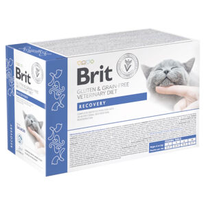 BRIT Veterinary Diet Cat Pouch fillets in Gravy Recovery 12x85 g