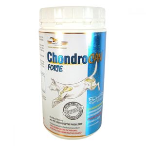 ORLING Chondrocan Forte 500 g