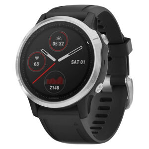 GARMIN Fenix 6 Glass, GPS sportovní hodinky Silver/Black Band