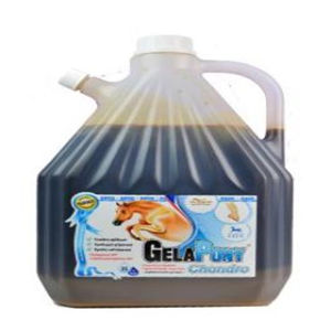 GELAPONY Chondro hyal biosol 3000 ml
