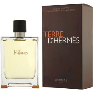 Hermes Terre D Hermes Toaletní voda 100 ml