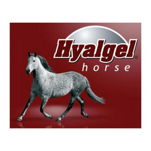 HYALGEL Horse jablko 5 l