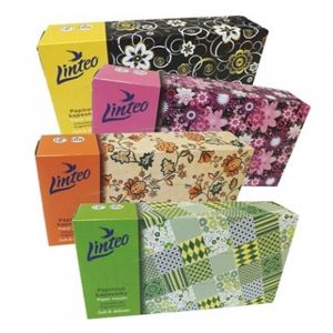 LINTEO Papírové kapesníky 2-vrstvé BOX 100 ks