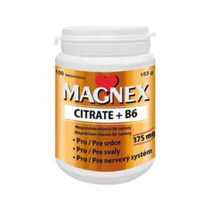 MAGNEX Citrate 375 mg a vitamin B6 100 tablet