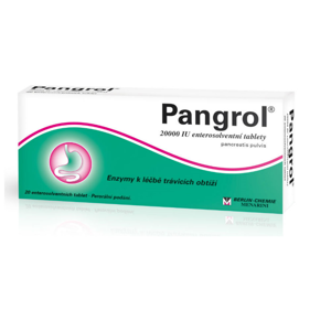 PANGROL 20000  20 II Tablety