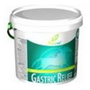 PHYTOVET Horse Gastric relief 1 kg