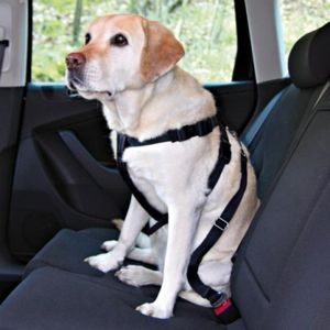 TRIXIE Postroj pes Bezpečnostní do auta L