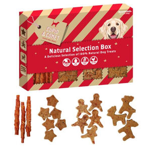 ROSEWOOD Box dog snacks pamlsky pro psy  175 g