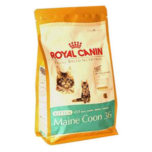 Royal canin Breed  Feline Kitten Maine Coon  400 g