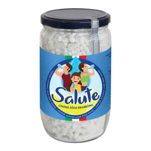 SALUTE Instantní jedlá soda bikarbona 250 g