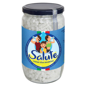 SALUTE Instantní jedlá soda bikarbona 250 g, poškozený obal