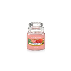 YANKEE CANDLE Classic malý Svíčka Sun-Drenched Apricot Rose 104 g